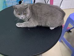 -圣宠动物医院·犬猫专科·影像中心·外科中心
