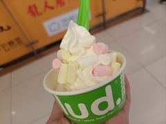 -Salud撒露欧洲冻酸奶(五道口购物中心店)