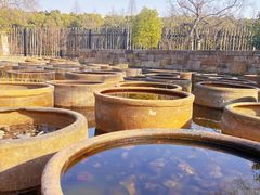 -广富林郊野公园