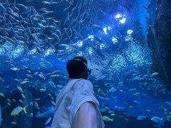 -海合安成都极地海洋公园