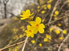 -元大都城垣遗址公园