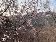 -龙泉峪长城