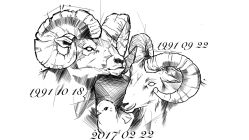 -飛凡TATTOO纹身•原创