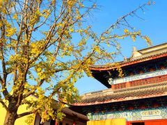 -海宁市观音寺