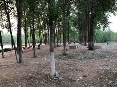 -东郊湿地公园