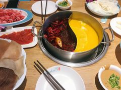 -青瓷火锅料理(西单大悦城店)