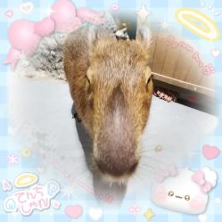 -Zoolung Zoolung动物主题公园(海信广场店)