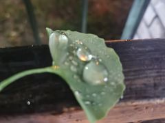 -管氏翅吧(人民大学店)