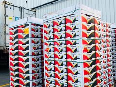 -上海龙吴水胜海发市场