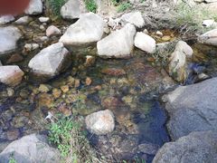 -房干生态旅游风景区
