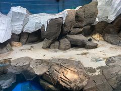 -海合安武汉极地海洋公园