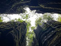 -梭布垭石林景区