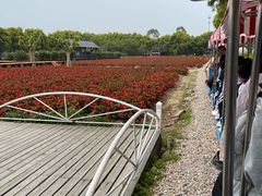 -广东花都香草世界旅游度假区