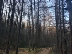 -秦岭风景区