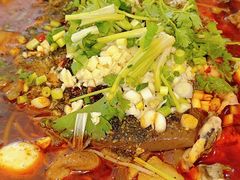 -芙蓉树下冒菜·麻辣烫(农院店)