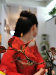 点击看大图 -美云庭古装·格格服汉服·京城旅拍(北京店)