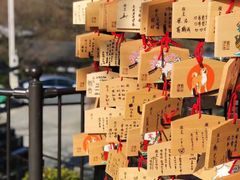 -有栖山 清光院 清水寺
