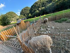 -高荡千年布依古寨旅游景区