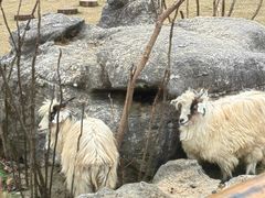 -茅山东方盐湖城景区