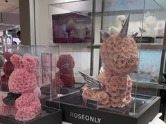 -ROSEONLY诺誓(广州K11店)