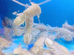 -台州湾小海鲜·范家厨房(人民路店)