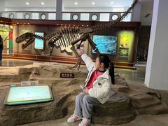 -自贡恐龙博物馆