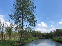 -溱湖国家湿地公园