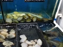 -蚝专家