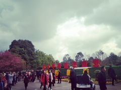 -邓小平故里