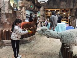 -宝燕乐园(闵行旗舰店)