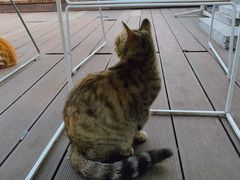 -UNI UNI(环亚凯瑟琳店)