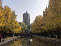 -玲珑塔公园