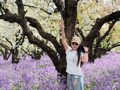 -江苏三台山国家森林公园