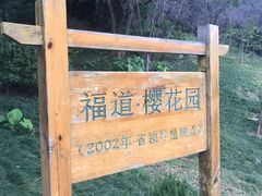 -福道