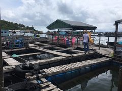 -海上驿站渔家菜馆