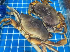 -三亚南山文化旅游区