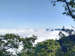 -塔云山