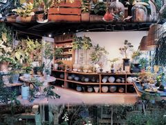 -自由生长植物工作室(深港花卉中心店)