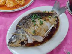 鲫鱼-羊桥饭店(江门紫沙路店)