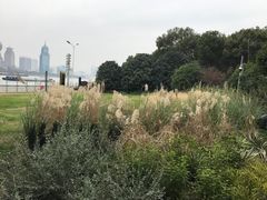 -北外滩滨江绿地