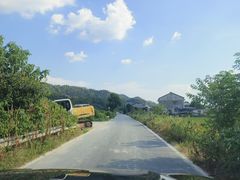 -长沙黑麋峰国家森林公园