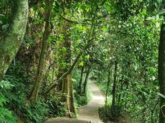 -中国科学院西双版纳热带植物园