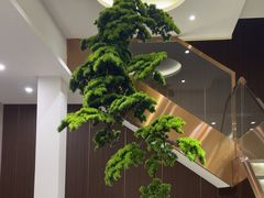 -正清和·推拿养生(二七广场店)