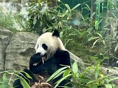 -武汉动物园