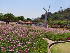 -广州莲花山旅游区
