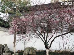 -八大山人梅湖景区