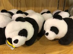 -熊猫邮局(少城店)