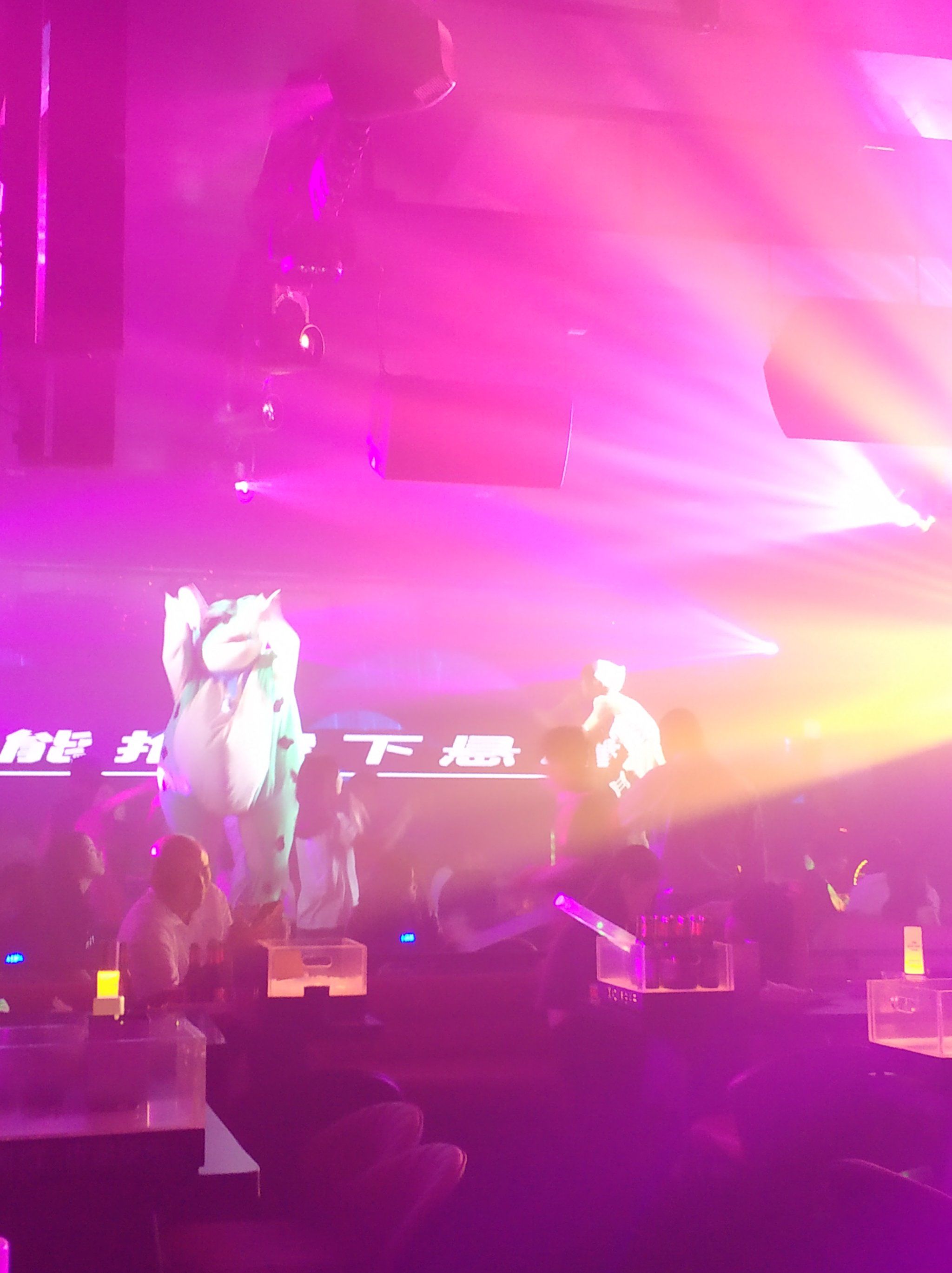 萌宠出道计划 #青年嗨fun地 #酒吧 
红liveshow演出酒吧,环境伊流