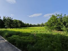-翠湖国家城市湿地公园