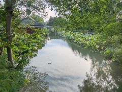 -溱湖国家湿地公园